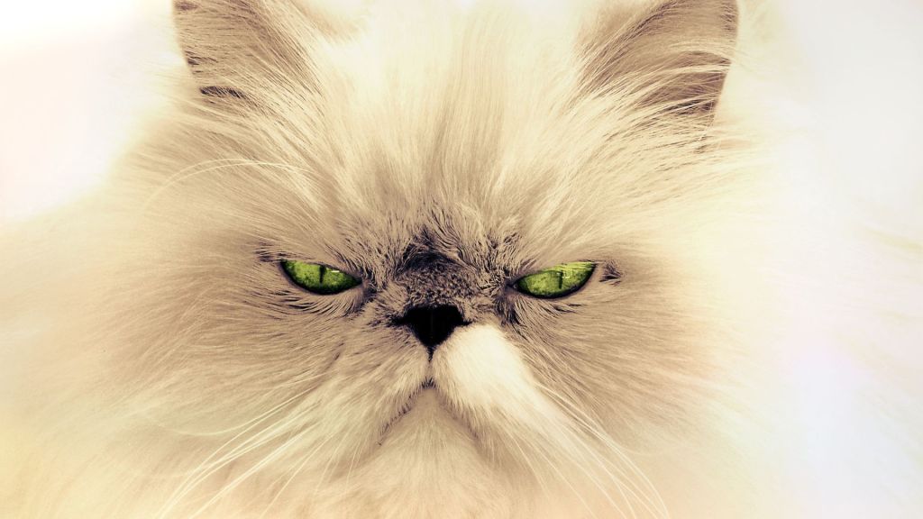 When Working Together Becomes Hard