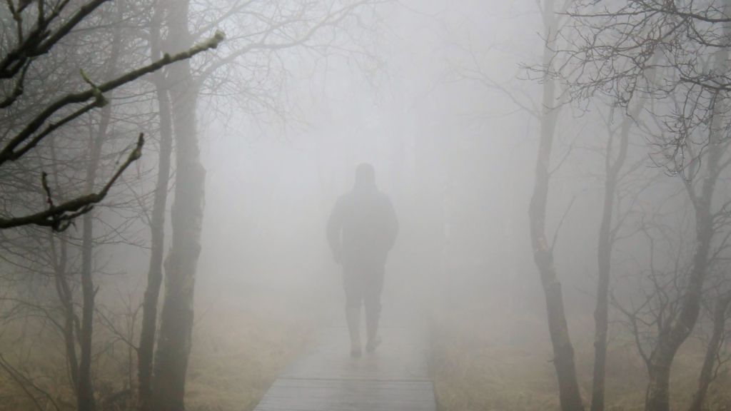 executive coaching solution for loneliness